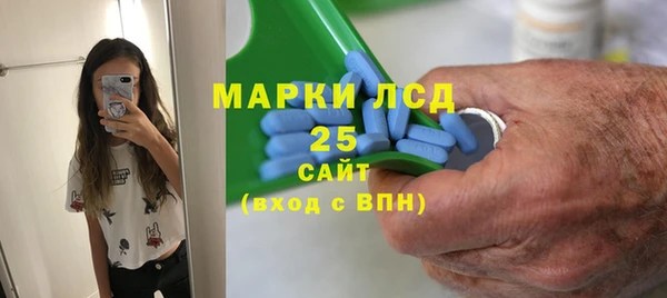 спайс Богданович