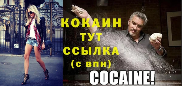 твердый Богородицк