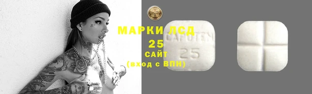 спайс Богданович
