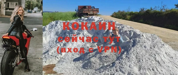 спайс Богданович