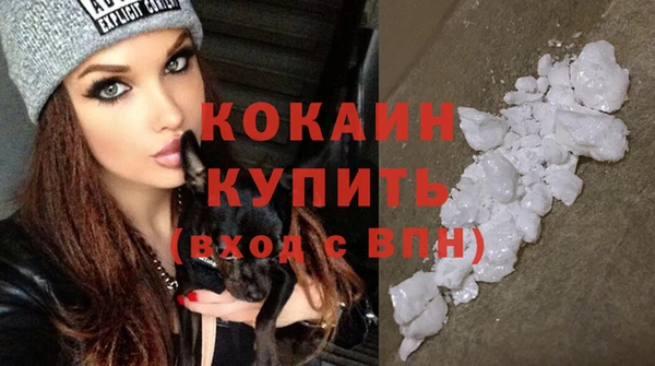 спайс Богданович