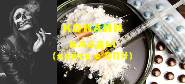 спайс Богданович