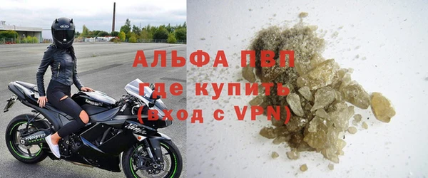 спайс Богданович