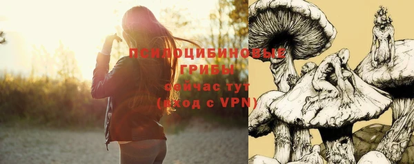 твердый Богородицк