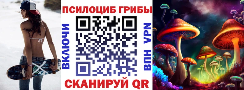Псилоцибиновые грибы Psilocybe  Череповец 